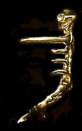ear cuffs