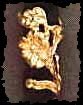 ear cuffs