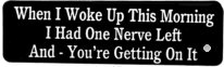 When I Woke Up This Morning I Had One Nerve Left And You're Getting On It
