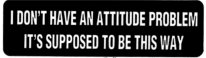 I DON'T HAVE AN ATTITUDE PROBLEM IT'S SUPPOSED TO BE THIS WAY