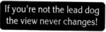 If you're not the lead dog the view never changes!