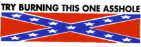 TRY BURNING THIS ONE ASSHOLE (Confederate Flag)