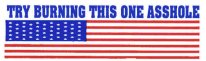 TRY BURNING THIS ONE ASSHOLE (American Flag)