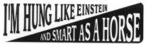 I'M HUNG LIKE EINSTEIN AND SMART AS A HORSE