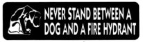 NEVER STAND BETWEEN A DOG AND A FIRE HYDRANT