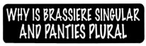 WHY IS BRASSIERE SINGULAR AND PANTIES PLURAL