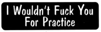 I WOULDN'T FUCK YOU FOR PRACTICE