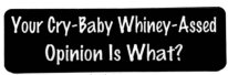 YOUR CRY-BABY WHINEY-ASSED OPINION IS WHAT?