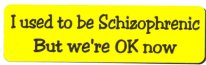 I USED TO BE SCHIZOPHRENIC BUT WE'RE OKAY NOW