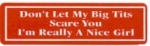 Don't Let My Big Tits Scare You I'm Really A Nice Girl