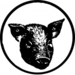 PIG HEAD