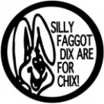 SILLY FAGGOT DIX ARE FOR CHIX!