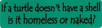 IF A TURTLE DOESN'T HAVE A SHELL IS IT HOMELESS OR NAKED?