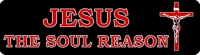 JESUS THE SOUL REASON