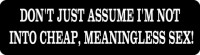 DON'T JUST ASSUME I'M NOT INTO CHEAP, MEANINGLESS SEX!