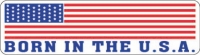AMERICAN FLAG- BORN IN THE U.S.A.