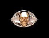 Reflection Skull