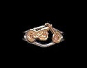 Split Bike Ring