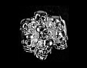 Skull Famliy Ring