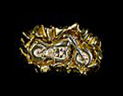 Nugget Bike Ring