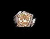 Octagon Motor Ring
