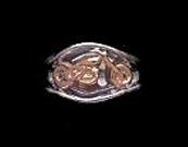 Reflection Bike Ring