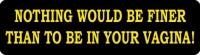 Nothing Would Be Finer Than To Be In Your Vagina