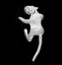 Cat Ear Cuff (Laser)