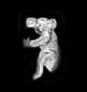 <b>14K Gold or Sterling Silver Koala Ear Cuff<b>