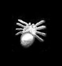 <b>Sterling Silver or 14K Gold Spider Ear Cuff Hugger<b>