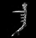 Skeleton Ear Cuff