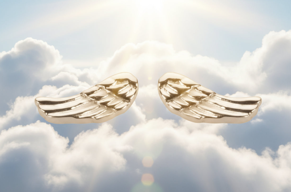 Simple Angel Wing Post Earrings Stainless Steel SE40