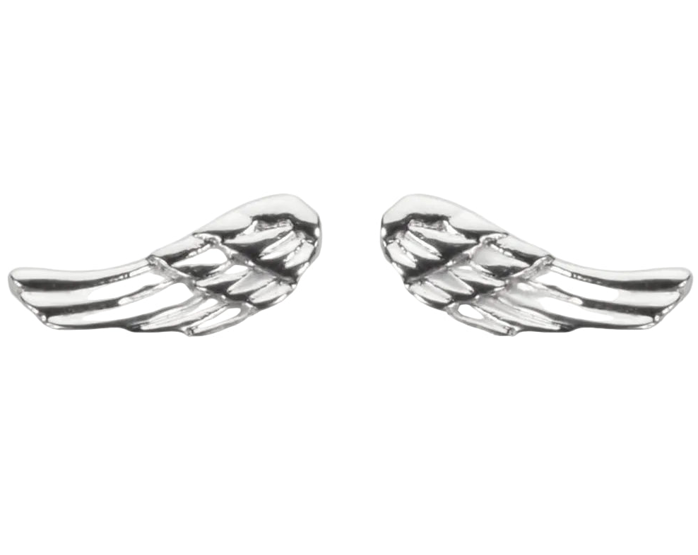 Simple Angel Wing Post Earrings Stainless Steel SE40